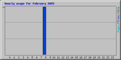 Hourly usage for February 2025