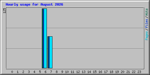 Hourly usage for August 2026